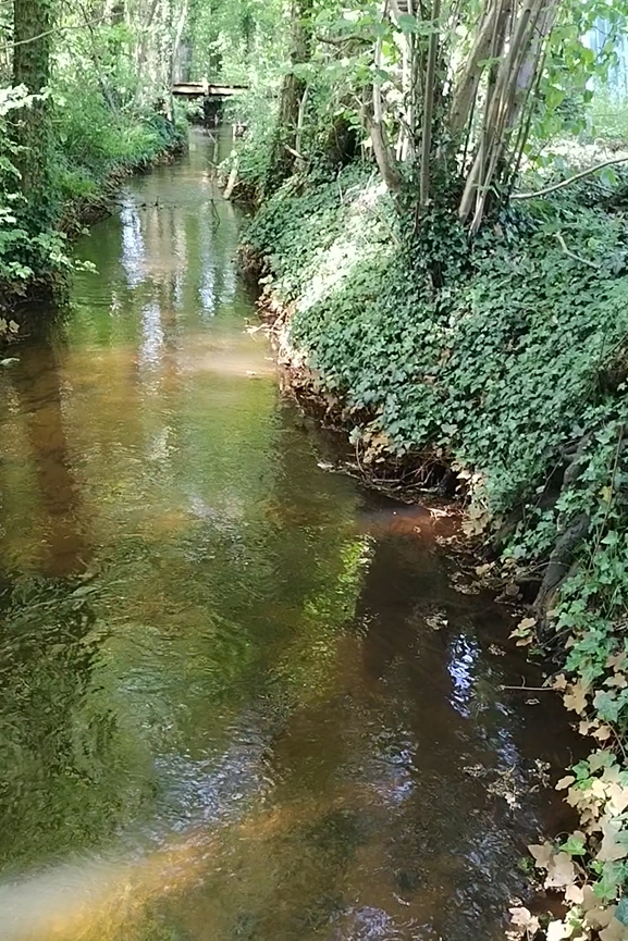 Der plätschernde Geuenbach